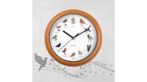 Eine runde EASYmaxx Wanduhr mit Bildern verschiedener Vogelarten an jeder Stundenmark, vor weißem Hintergrund mit Noten und Vogel-Silhouette – ein zwitscherndes Vergnügen für Ihr Zuhause.